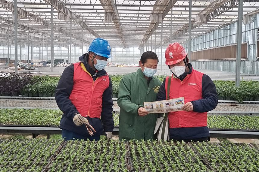 江西貴溪:“優(yōu)質(zhì)電”澆灌特色農(nóng)業(yè)結(jié)出“致富果” 江西貴溪:“優(yōu)質(zhì)電”澆灌特色農(nóng)業(yè)結(jié)出“致富果”