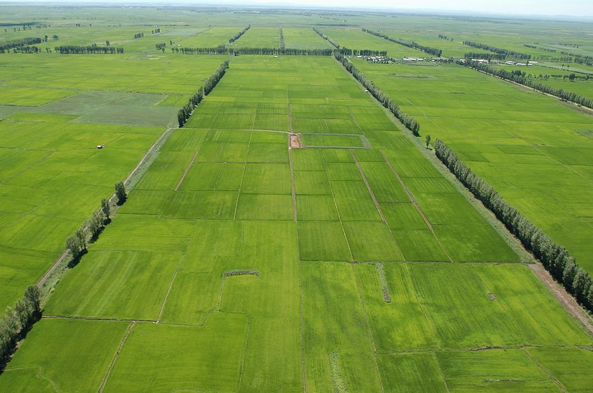 精準農業(yè)的“東北探索”