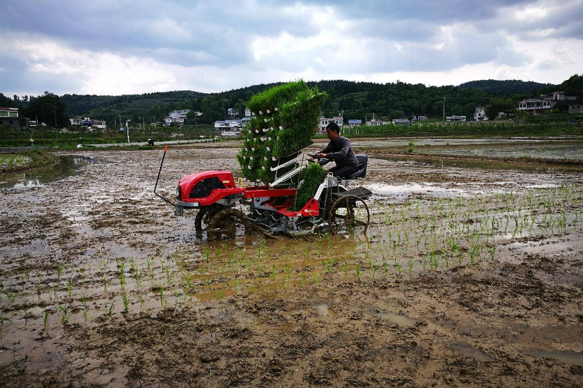 連續(xù)三年，這類農(nóng)機(jī)研發(fā)寫入中央一號(hào)文件