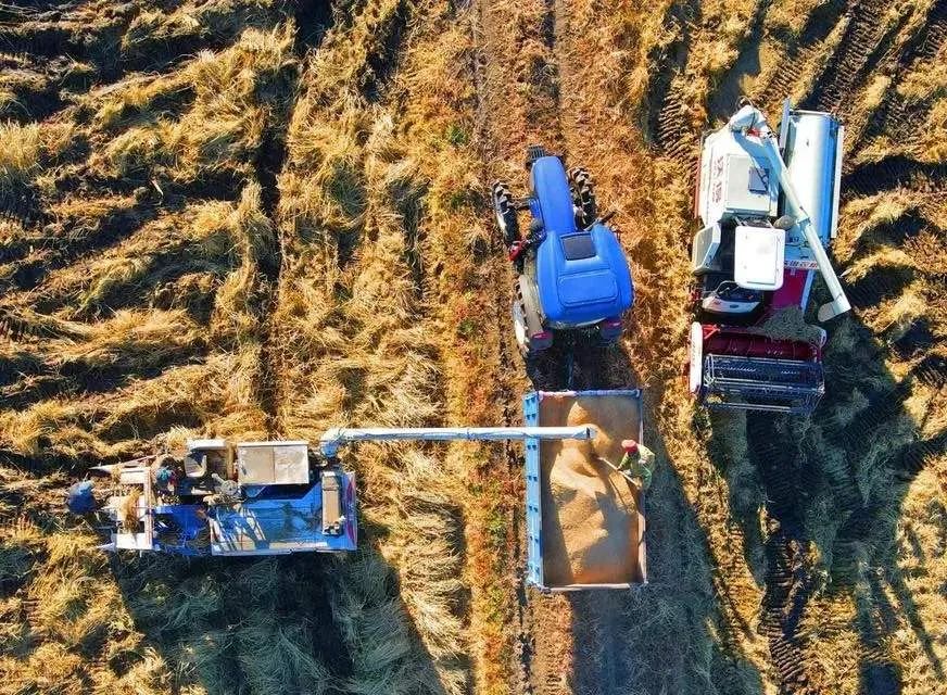 連續(xù)三年，這類農(nóng)機(jī)研發(fā)寫入中央一號(hào)文件