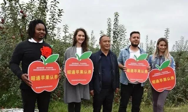 【農(nóng)業(yè)模式】農(nóng)產(chǎn)品銷售創(chuàng)新點(diǎn)在哪里？十種新模式助力未來農(nóng)業(yè)