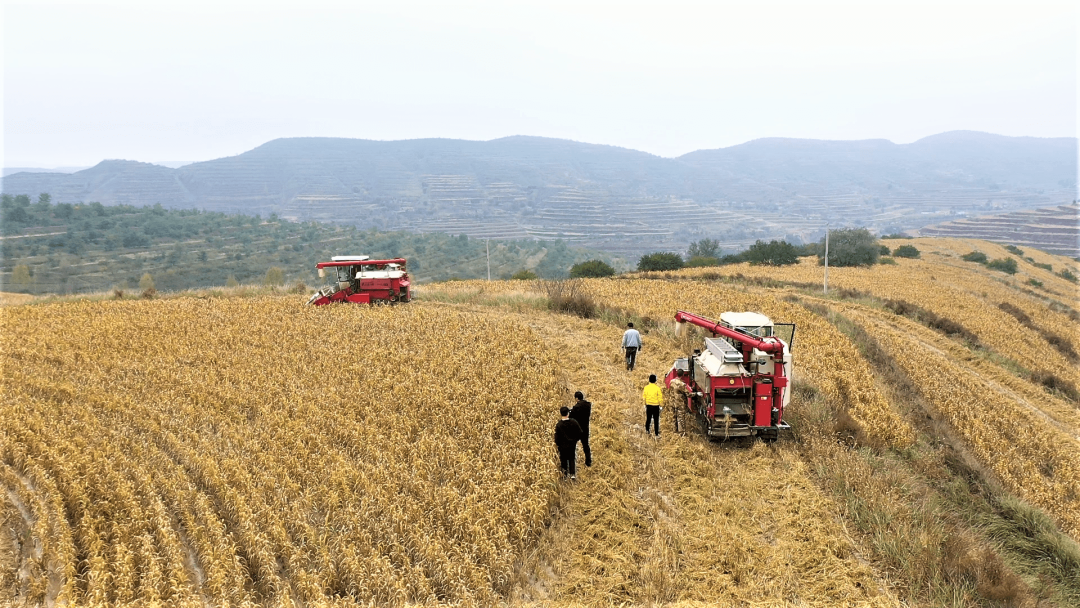 中央對(duì)農(nóng)機(jī)補(bǔ)貼提新要求，分量很重