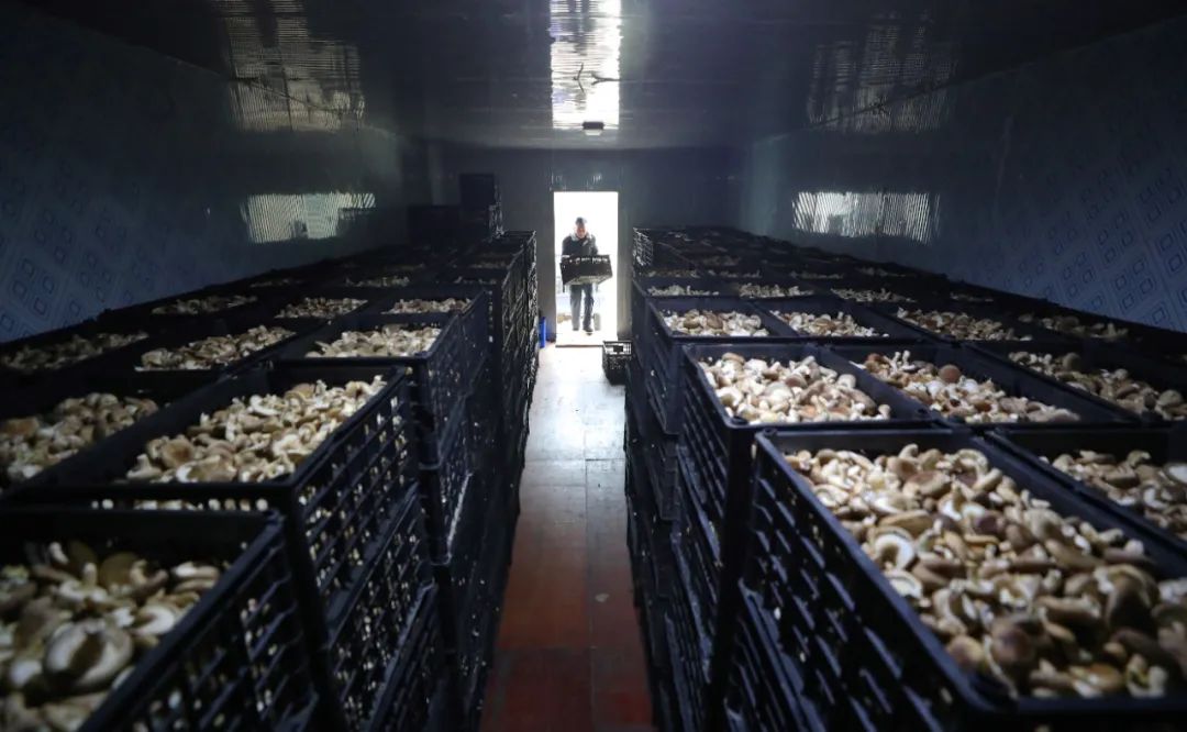 現(xiàn)代農(nóng)業(yè)產(chǎn)業(yè)園，如何撬動(dòng)3800多億元社會(huì)投資？