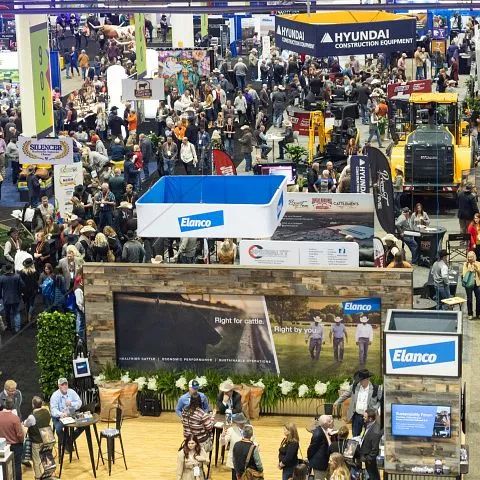 新奧爾良奶業(yè)大會展出最新飼料設(shè)備