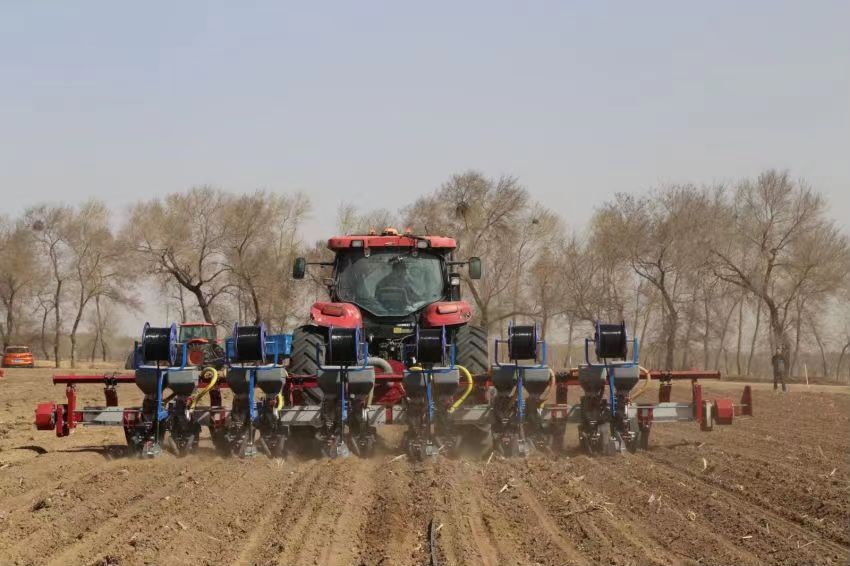 北大荒應(yīng)用無膜淺埋滴灌水肥一體化技術(shù)抗風(fēng)沙干旱