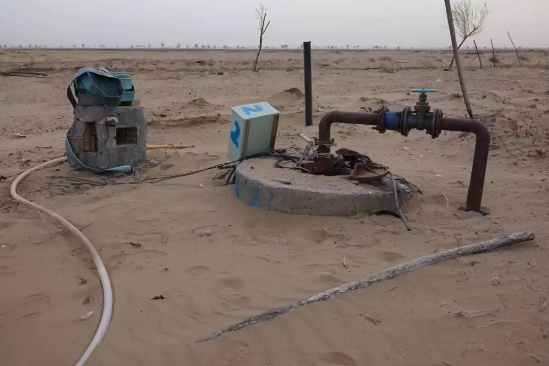 陜西榆林：6000余畝高標(biāo)準(zhǔn)農(nóng)田，緣何撂荒7年？