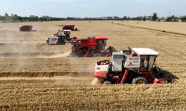 耕好“無形糧田”——從夏糧主產(chǎn)區(qū)看“全鏈條節(jié)糧減損”路徑 耕好“無形糧田”——從夏糧主產(chǎn)區(qū)看“全鏈條節(jié)糧減損”路徑