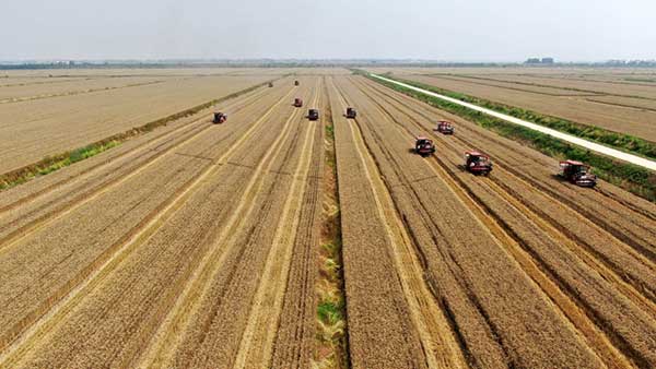 耕好“無形糧田”——從夏糧主產(chǎn)區(qū)看“全鏈條節(jié)糧減損”路徑 耕好“無形糧田”——從夏糧主產(chǎn)區(qū)看“全鏈條節(jié)糧減損”路徑