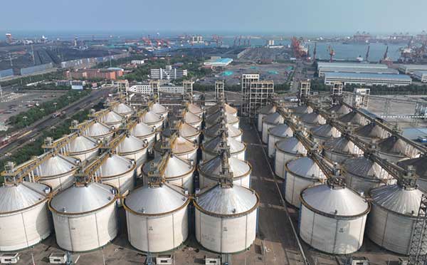 耕好“無形糧田”——從夏糧主產(chǎn)區(qū)看“全鏈條節(jié)糧減損”路徑 耕好“無形糧田”——從夏糧主產(chǎn)區(qū)看“全鏈條節(jié)糧減損”路徑