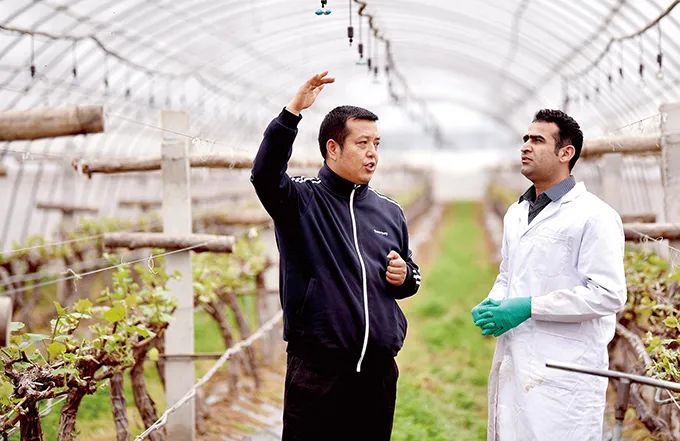 楊凌農(nóng)高區(qū)：中國現(xiàn)代農(nóng)業(yè)的“支點”