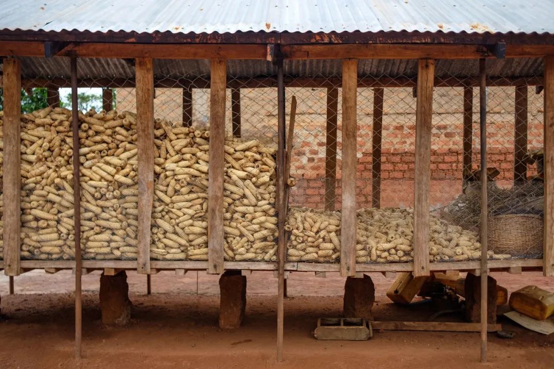 未來十年全球農(nóng)業(yè)和糧食產(chǎn)量增長(zhǎng)預(yù)計(jì)將放緩