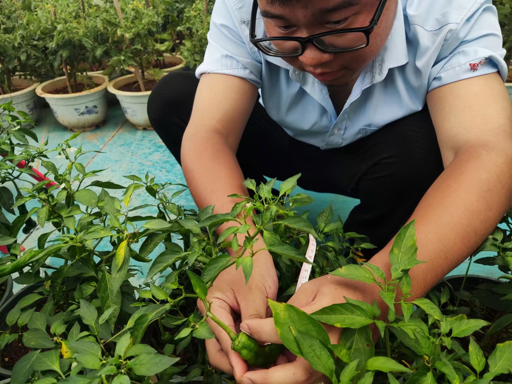 生物農(nóng)藥迎來加快發(fā)展新局面