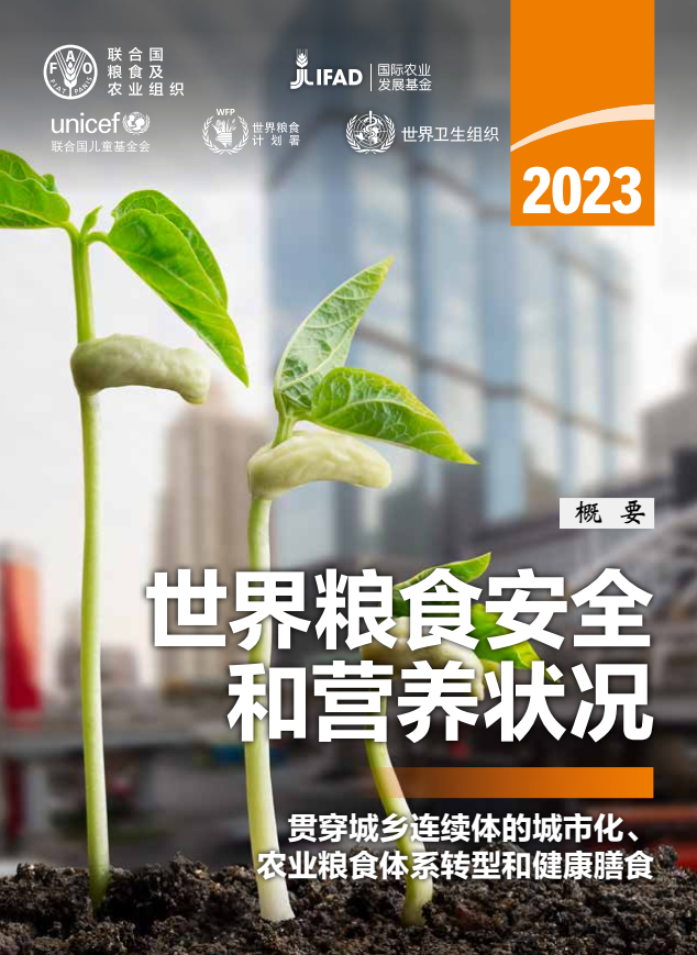 聯合國發(fā)布《2023年世界糧食安全和營養(yǎng)狀況》報告：2019年以來，全球新增1.22億饑餓人口