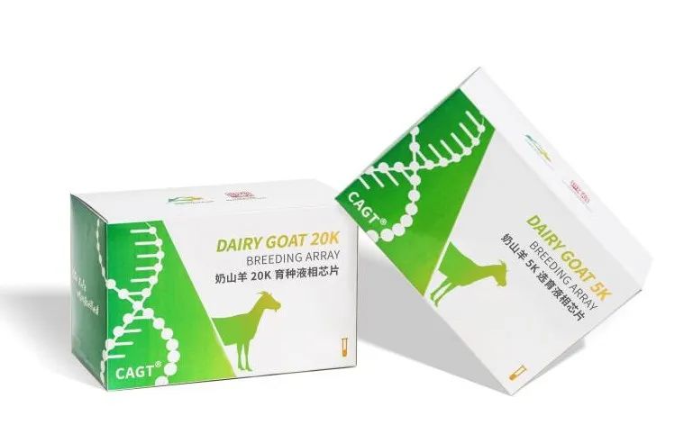西北農(nóng)林科技大學(xué)成功研發(fā)國內(nèi)首款經(jīng)濟(jì)實用型奶山羊育種芯片