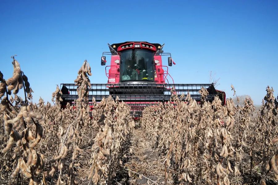 當(dāng)好國家糧食安全“壓艙石”