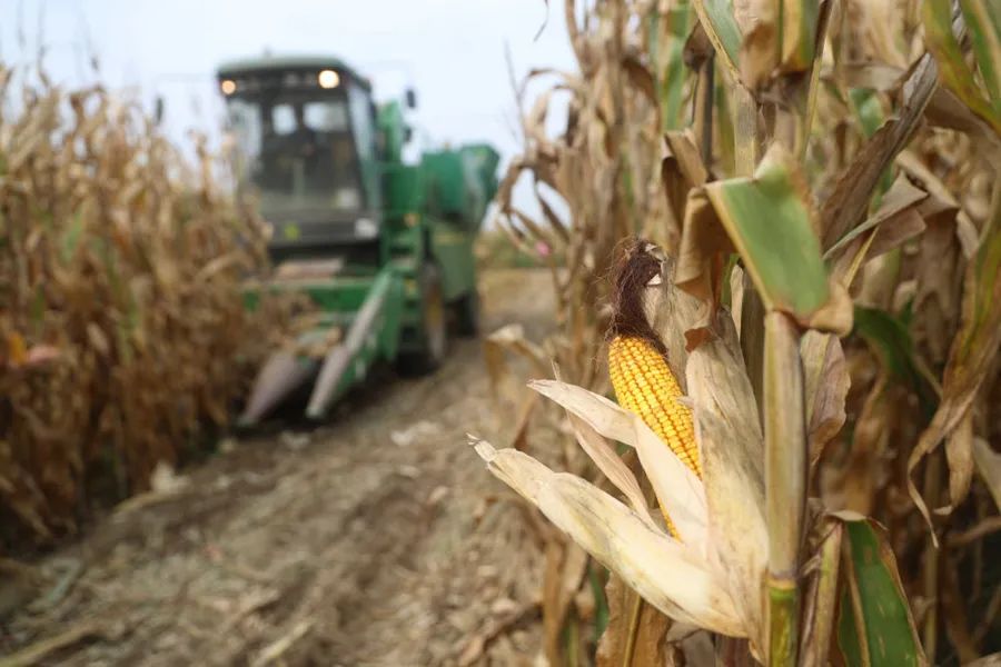 當(dāng)好國家糧食安全“壓艙石”