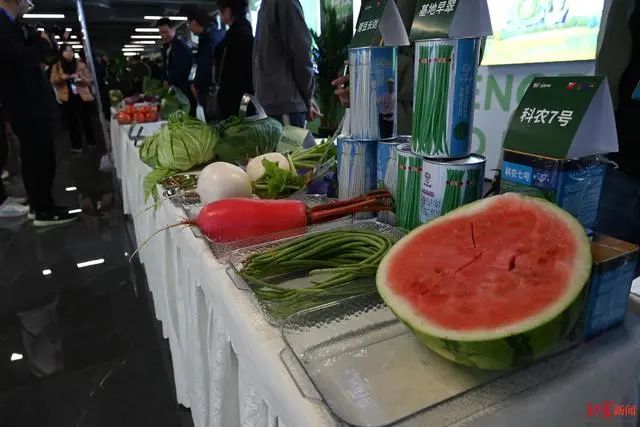 3.36億畝近8億噸！《2023年中國(guó)蔬菜產(chǎn)業(yè)發(fā)展報(bào)告》發(fā)布