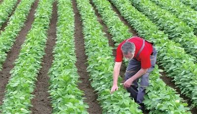  “新農(nóng)人”推動(dòng)各國農(nóng)業(yè)“新發(fā)展”