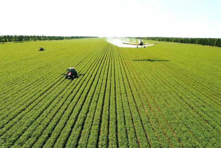 強(qiáng)化科技賦能 各地力促秋糧穩(wěn)產(chǎn)豐產(chǎn) 強(qiáng)化科技賦能 各地力促秋糧穩(wěn)產(chǎn)豐產(chǎn)