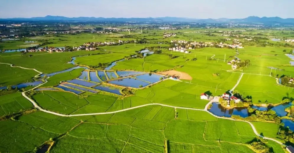 經(jīng)濟日報：金融加快賦能鄉(xiāng)村振興