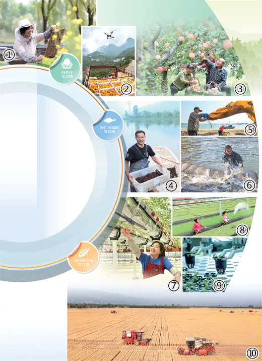 向新 向綠！我國(guó)農(nóng)業(yè)綠色發(fā)展水平穩(wěn)步提升